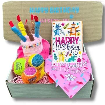 Pet birthday gift box